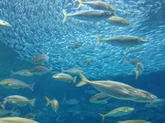 ��\�㓇�����يC�����̎ʐ^2