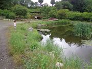 ܂܂̃XEJtFJ[RE{E̓eʐ^4