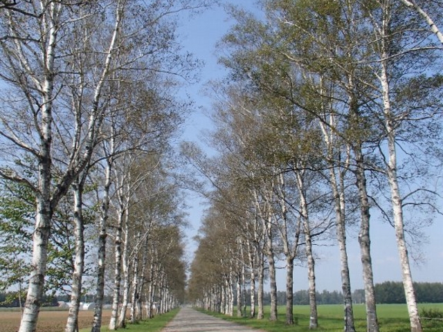 ؂͗ǂI_ƒ{ǃZ^[\qW]