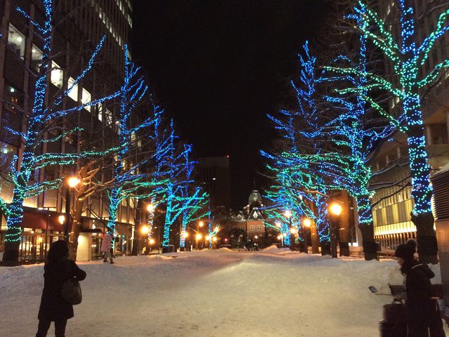 ���C�g�A�b�v���ꂽ������_�k�C�������{����(�Ԃ�񂪒���)