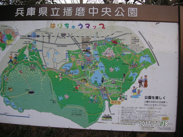 �͂肿�イ�}�b�v_�d����������