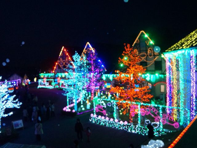 �����h�C�c��