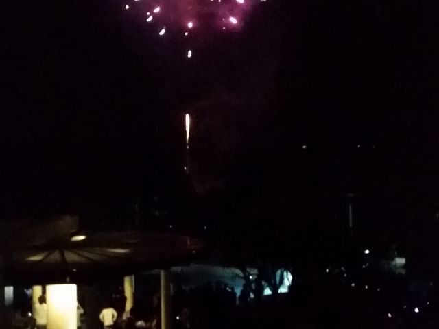 �J�E���g�_�E���̉ԉ�_ANA�C���^�[�R���`�l���^�������r�[�`���]�[�g