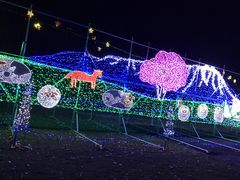 kamȅ_܂Ήւ̓eʐ^1