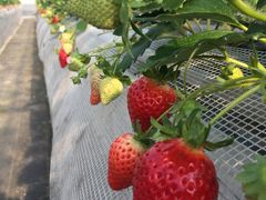 ₱̕ct@[@x[ւ̓eʐ^1