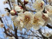 takashi̓cY~̗̓eʐ^2