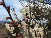 takashi̓cY~̗̓eʐ^3