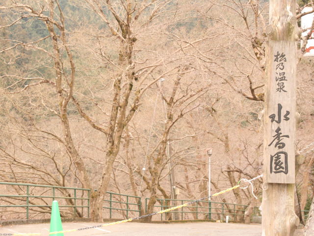 ���T����_���T����