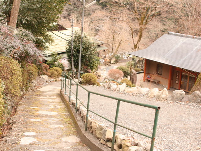 ���T����_���T����