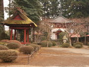 �����߂T�T�Q�T����̈��y���̓��e�ʐ^2