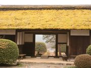 �����߂T�T�Q�T����̈��y���̓��e�ʐ^3