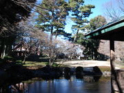 �Ƃ悵��5525����̑�c�������̓��e�ʐ^3