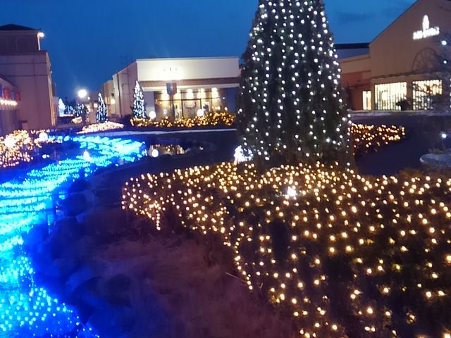 �ߐ{�K�[�f���A�E�g���b�g