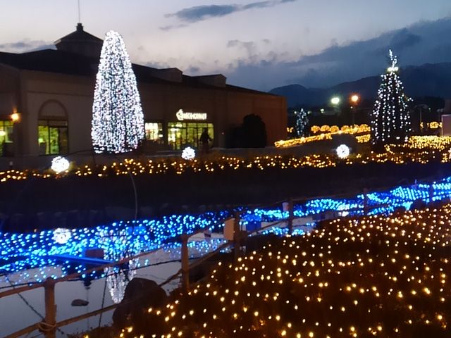 �ߐ{�K�[�f���A�E�g���b�g