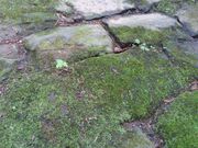 n񂳂̐Ώ̓inCLOR[Xj̓eʐ^2