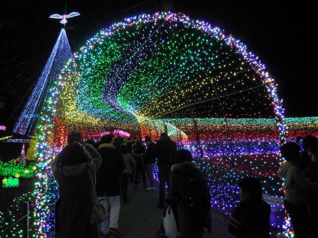 �f�G�ȃv�����i�[�h�ł��傤�H_�����h�C�c��