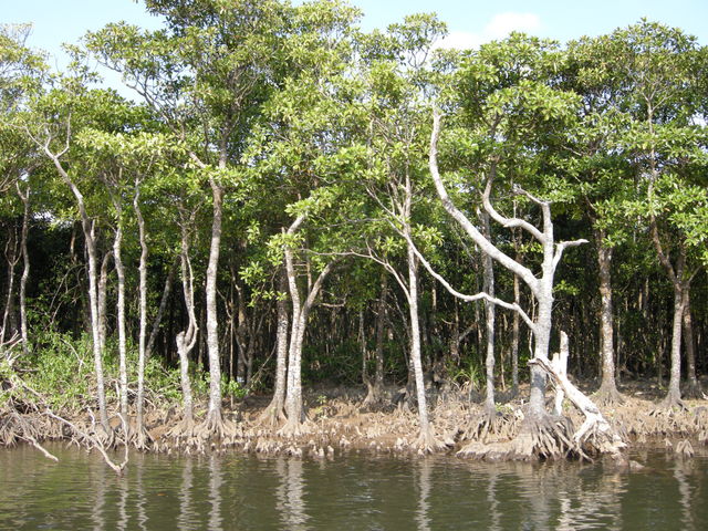 ���Ԑ�V��