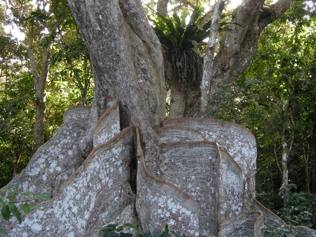 ���Ԑ�V��