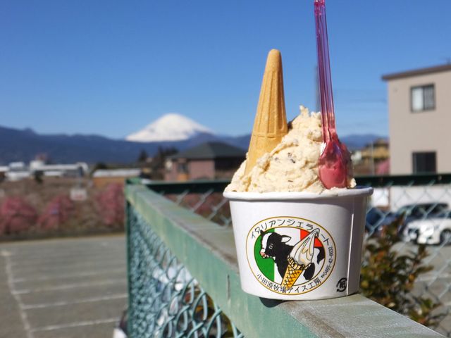 小田原牧場アイス工房 湯河原 真鶴 小田原 スイーツ ケーキ