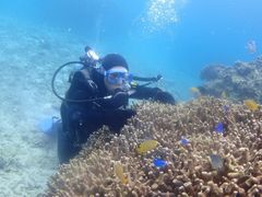 Ȃ̃_CrOT[rXEՂ܂ǂւ̓eʐ^1