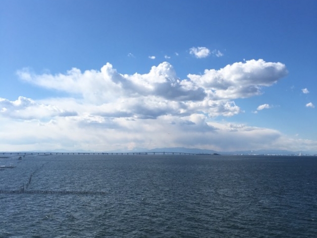 񂽂񂳂̑PYCl̓eʐ^1