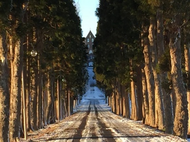 ���H�̐�ɏC���@_�����V�g�[���̐����C���@�i�g���s�X�g�C���@�j