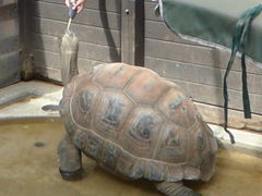 ̐EW ANAggӂւ̓eʐ^1