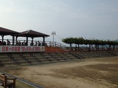 poporon̏l򑫓@قƂӂƂPOTւ̓eʐ^2