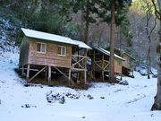 ݂͂5525̑͌΋x{Lv̓eʐ^1