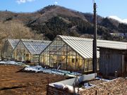 ݂͂5525̓t[K[f̓eʐ^2