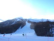 񂽂񂳂̂獂XL[̓eʐ^1