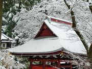 �����݂͂�5525����̊ω����̓��e�ʐ^2