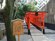 poporon̐c_Ђ̓eʐ^3