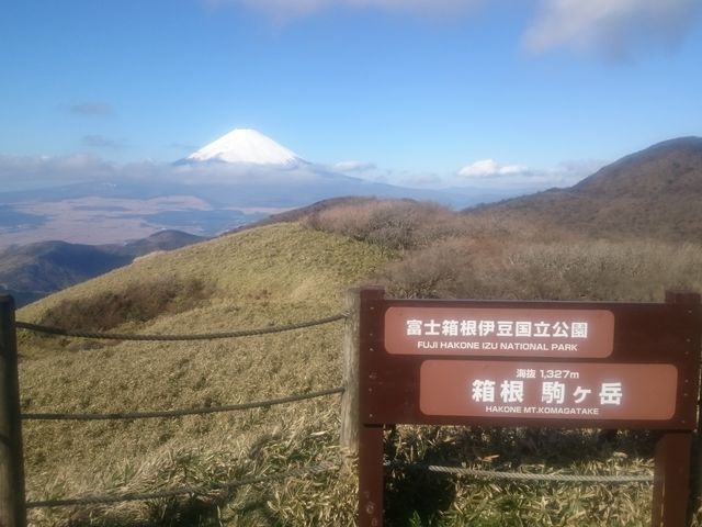 ��x�R������̕x�m�R_��P�x