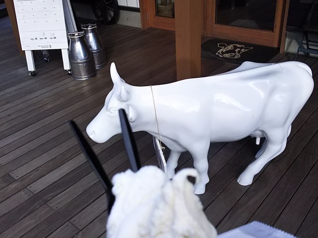 njeX̃ACX_y򐯖GA@njeX