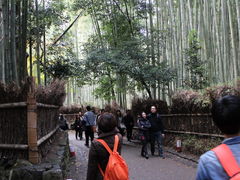 񂳂̒|т̓ւ̓eʐ^1