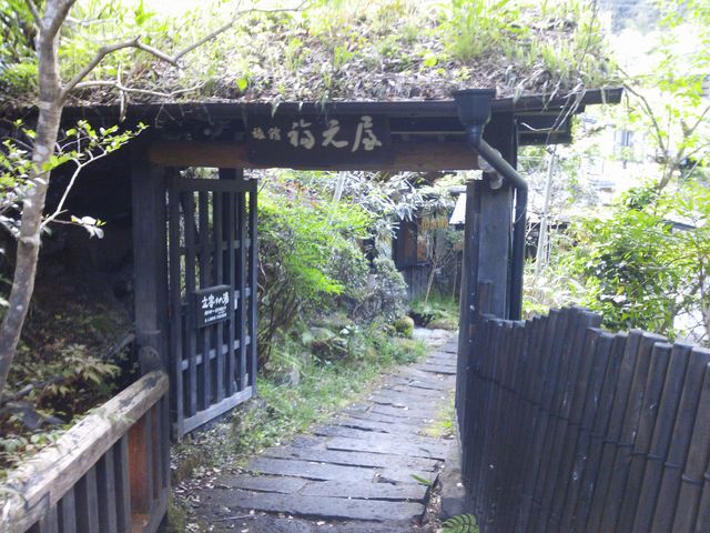 ���ʓ����_�Ǔ�����