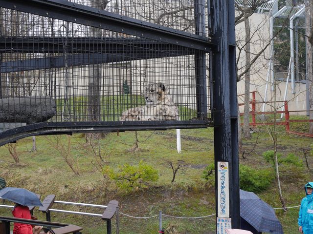 ���͖��_�I_���R������