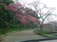 񂿂񂳂̍AmՂւ̓eʐ^1