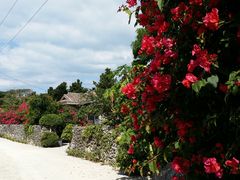 Hero̔dRόtF[ւ̓eʐ^1