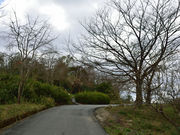 �䂸���҂���̋L�I���t�̔�̓��e�ʐ^1