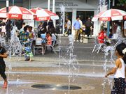 肷̓̉w 񓡉̓eʐ^1