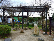 �䂸���҂���̓��̒I�̋��̓��e�ʐ^1