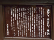 �䂸���҂���̓��̒I�̋��̓��e�ʐ^3