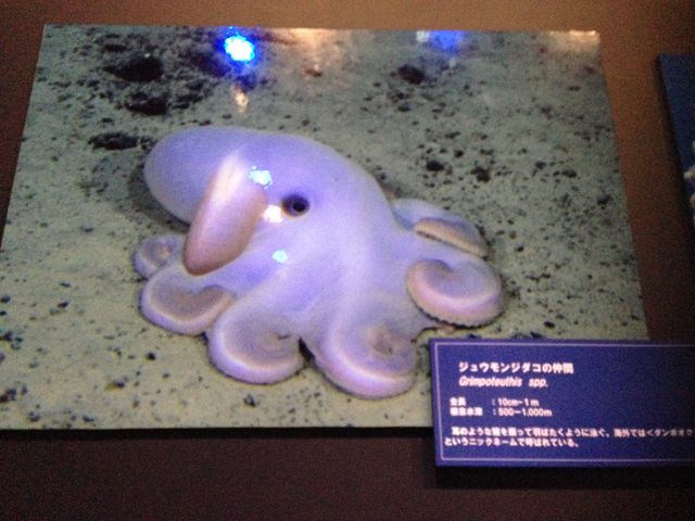 킢^R_Í`[Cف`V[JXE~[WA`