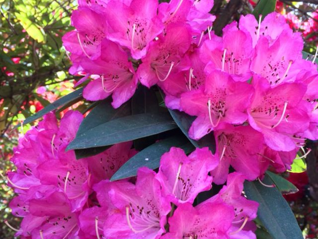 �݂�����񂳂�̑�K���̂��̓��e�ʐ^1