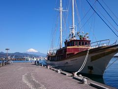 sk̃GXpXh[vUւ̓eʐ^2