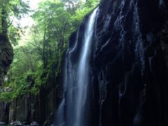 nana����̍���䋬�݂��{�[�g�ւ̓��e�ʐ^1