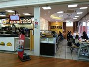 ykõ}NhihqRIsbNX̓eʐ^1