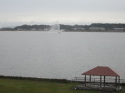 YUKȊ]ˉ򕨌 Ȃ܂̓eʐ^1